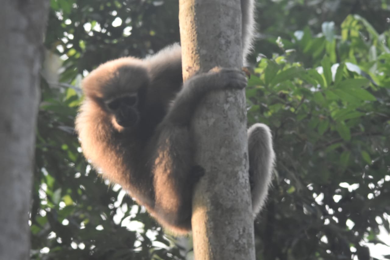 TOUR PACKAGES: ANINI & DONG SUNRISE TOUR